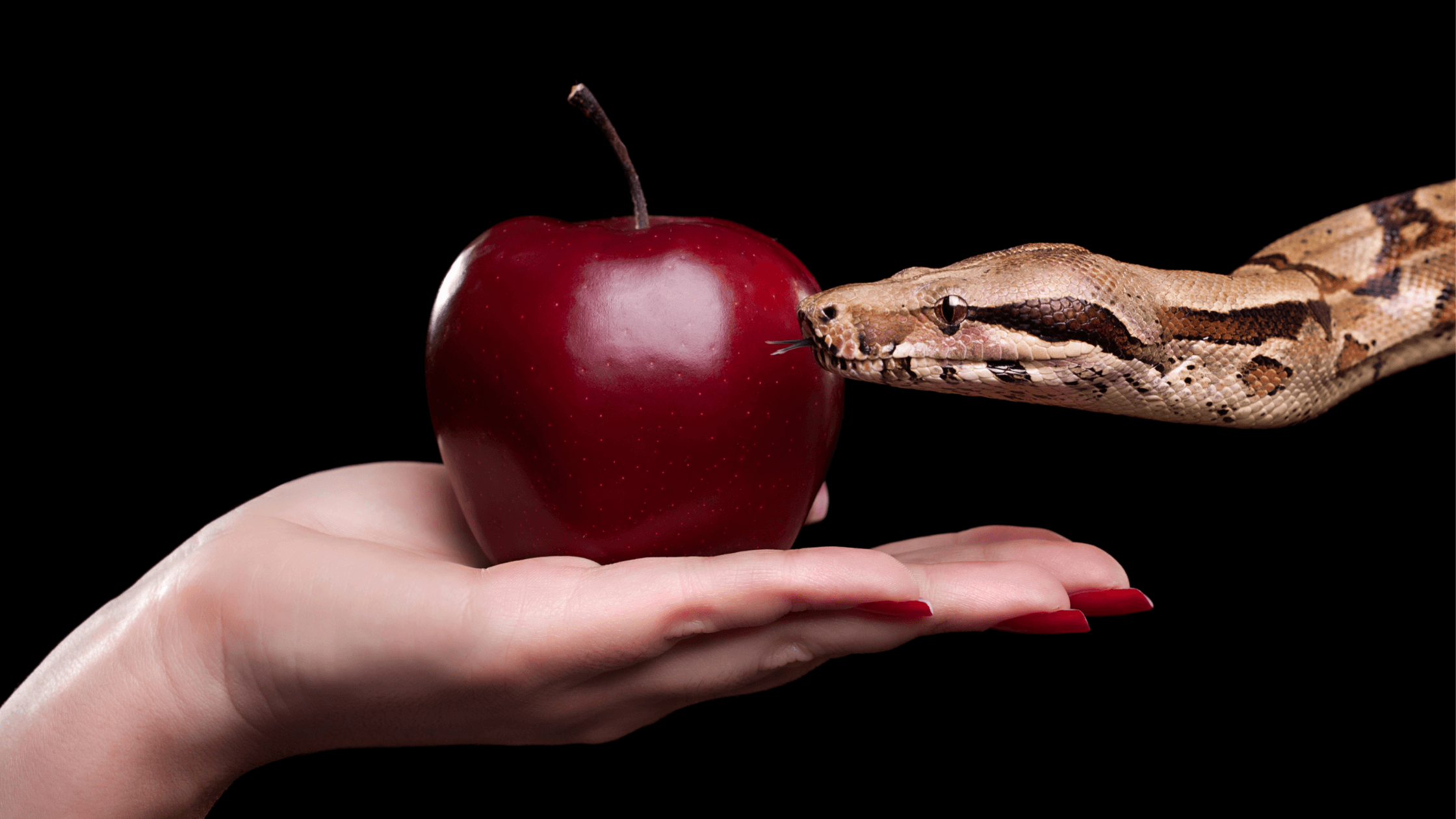 resist temptation